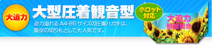 大型圧着DM 観音開き型